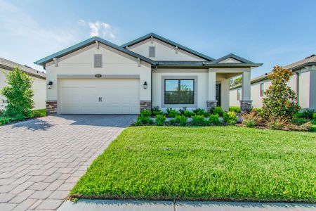 Oakstead Estates by M/I Homes in Land O' Lakes - photo 14 14