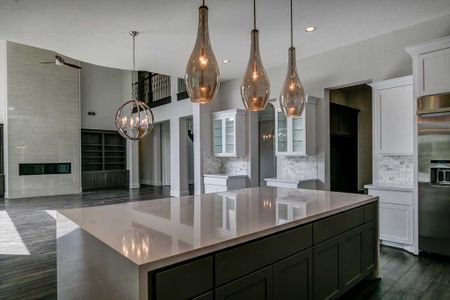 Bridgeland - Fedrick Harris by Newmark Homes in Cypress - image 12