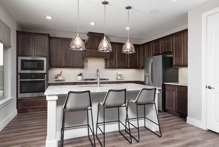 Discovery Collection at Union Park by Tri Pointe Homes in Little Elm - photo 25 25