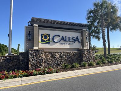 Calesa Township by Colen Built Development, LLC in Ocala - photo 1 1