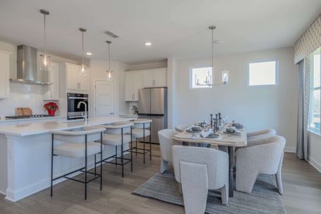 Maddox Landing by UnionMain Homes in Hoschton - image 13