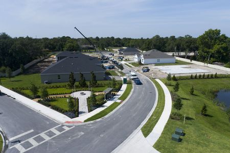 Francisco Park by M/I Homes in Oviedo - photo 9 9