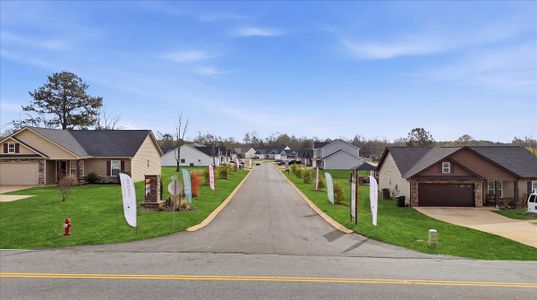Mills Gin by Enchanted Homes in Campobello - image 19