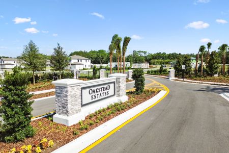 Oakstead Estates by M/I Homes in Land O' Lakes - photo 7 7