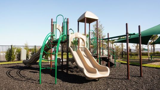 Oak Hammock Playground