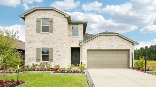 Grand Pines by D.R. Horton in Magnolia - photo 11 11