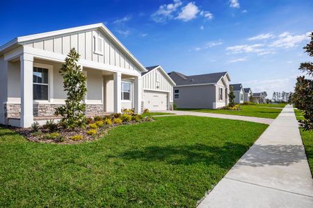 Wolf Lake Ranch by M/I Homes in Apopka - photo 34 34