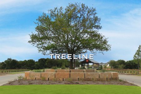 Treeline by Beazer Homes in Justin - image