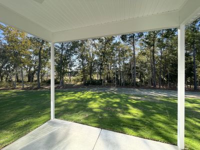 Tributary At The Park At Rivers Edge by Hunter Quinn Homes in North Charleston - photo 6 6