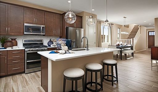 Seasons at Blackhawk by Richmond American Homes in Tucson - image 5