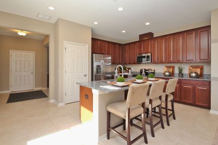 Epperson by M/I Homes in Wesley Chapel - photo 41 41