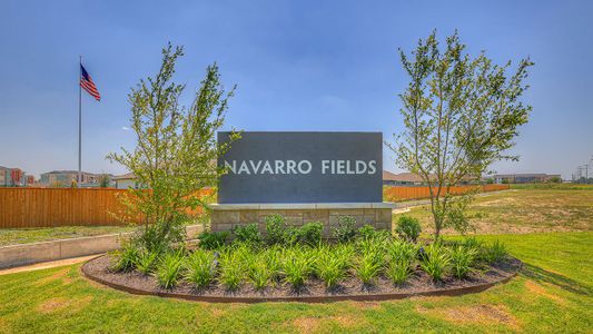 Navarro Fields by D.R. Horton in Seguin - photo 0