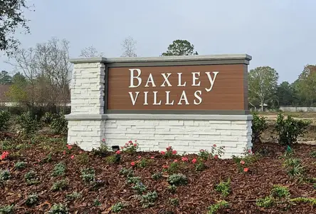 Baxley Villas by Drees Custom Homes in Middleburg - photo 0 0