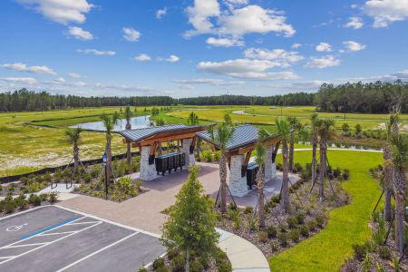Shortgrass at Two Rivers by M/I Homes in Zephyrhills - image 17