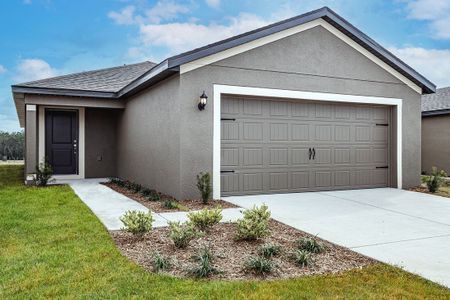 Trilby Crossing by LGI Homes in Brooksville - photo 0 0