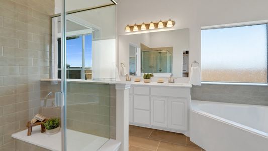 Silo Mills - Select Series by Risewell Homes in Joshua - image 16