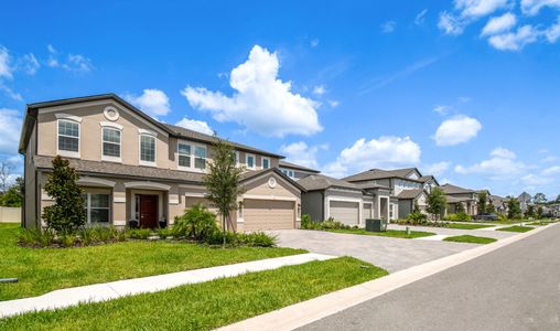 Avalon West by M/I Homes in Spring Hill - photo 12 12