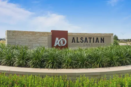 Alsatian Oaks by Chesmar Homes in Castroville - image