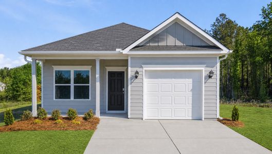 Elliott Crossing by Smith Douglas Homes in Thomaston - image