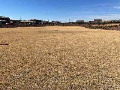 The Grove at El Cidro by William Ryan Homes in Goodyear - image 19