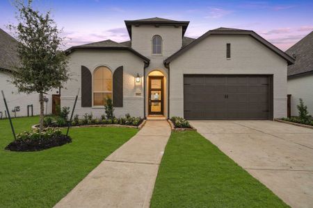 Meridiana: 50ft. lots by Highland Homes in Manvel - photo 37 37