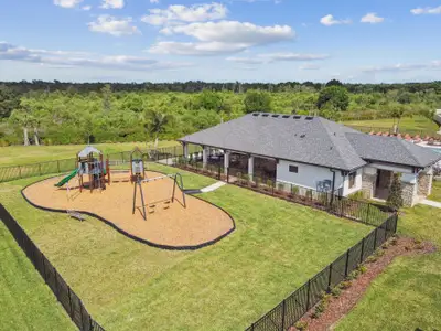 Cobblestone by M/I Homes in Zephyrhills - photo 22 22