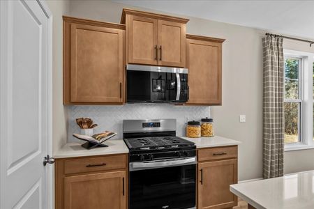 Meece Townhomes by Great Southern Homes in Easley - image 16