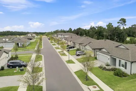 Berry Bay by M/I Homes in Wimauma - image 20