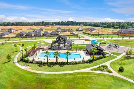 Sorella by M/I Homes in Tomball - image 16