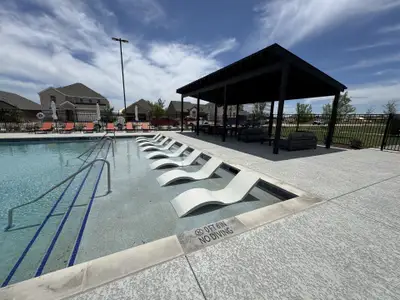 Southridge by Trophy Signature Homes in McKinney - photo 4 4