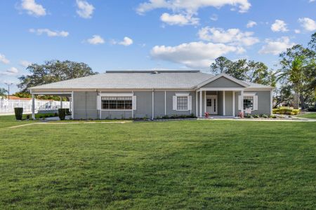 Meadow Oaks by M/I Homes in Hudson - photo 20 20