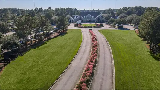 Savannah Quarters: Arbor Collection 50s 5