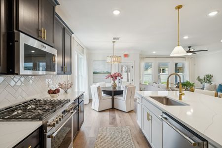 Two Step Farm by DSLD Homes in Montgomery - image 8