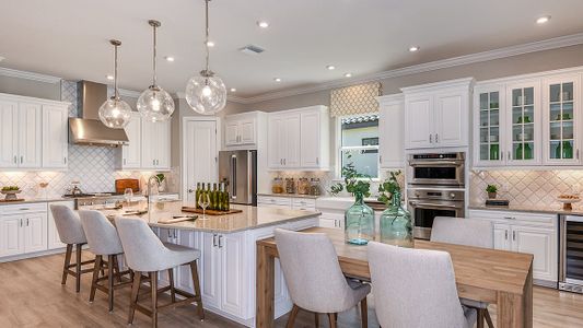 Esplanade at Artisan Lakes by Taylor Morrison in Palmetto - photo 64 64