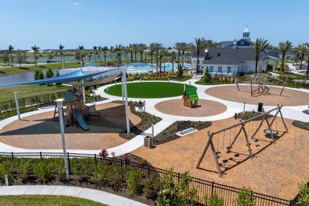 Palmera at Wellen Park by M/I Homes in Venice - image 14