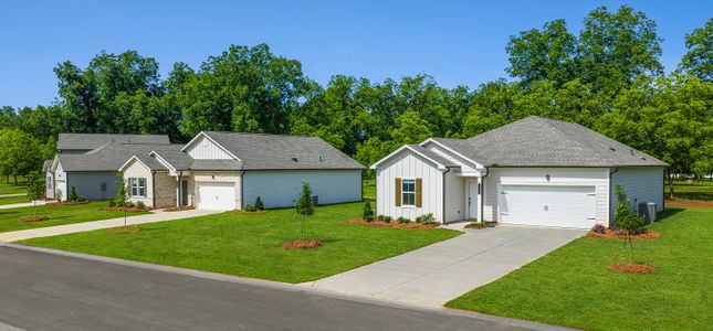 Chestnut Valley by Lennar in Apison - image