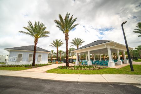 Seabrook Village at Nocatee by Riverside Homes in Ponte Vedra - photo 63 63