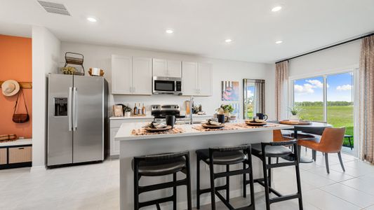 Cove at Coasterra by Taylor Morrison in Palmetto - image 12