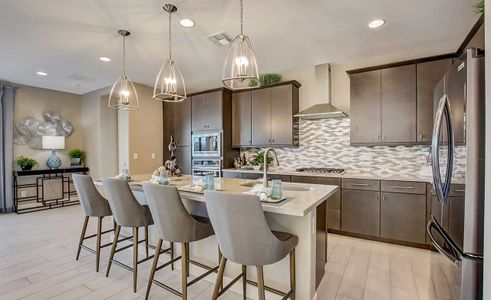 The Lakes at Rancho El Dorado by Brightland Homes in Maricopa - photo 30 30