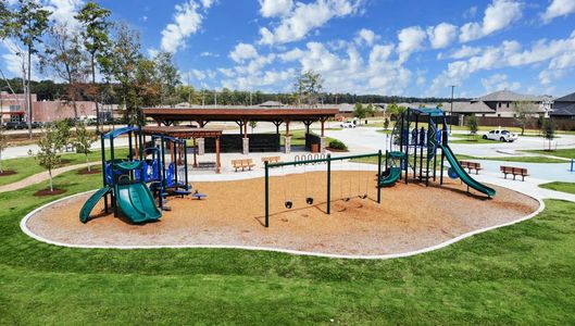 Harrington Trails at The Canopies by D.R. Horton in New Caney - photo 15 15