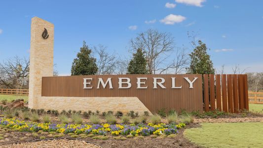 Emberly by DSLD Homes in Beasley - photo 0 0