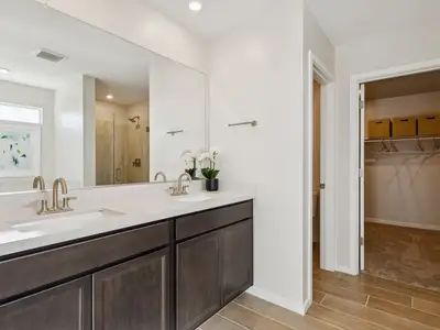 The Vistas Collection at Skyline Village 55