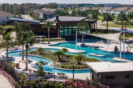 Timberdale at Chapel Crossings by Mattamy Homes in Wesley Chapel - photo 1 1