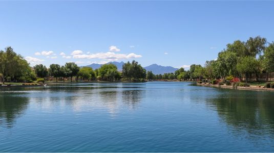 Rancho Sahuarita: Entrada Del Toro Mariposa 12