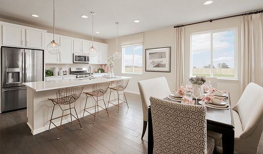 Seasons at Entrada Del Oro II by Richmond American Homes in Gold Canyon - photo 26 26