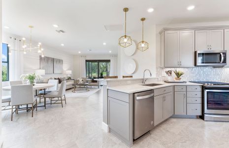 BeachWalk by Manasota Key by DiVosta in Englewood - image 11