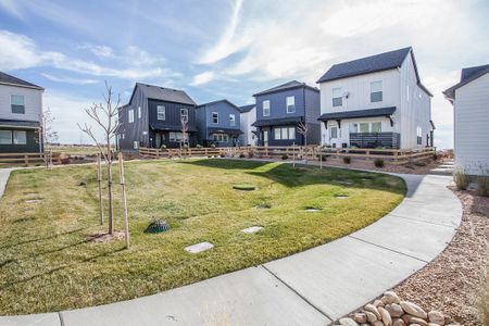 Bloom Cottages 61