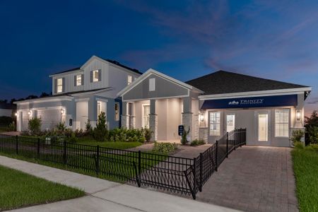 Eagletail Landings by Trinity Family Builders in Howey-in-the-Hills - image 17
