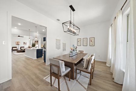 Emberly 55 by DSLD Homes in Beasley - image 7