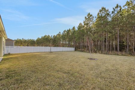 Holly Landing at SilverLeaf by Dream Finders Homes in St. Augustine - image 4